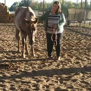 Meet your Posher, Dakota